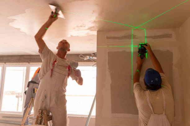 Best Drywall Removal and Disposal  in USA